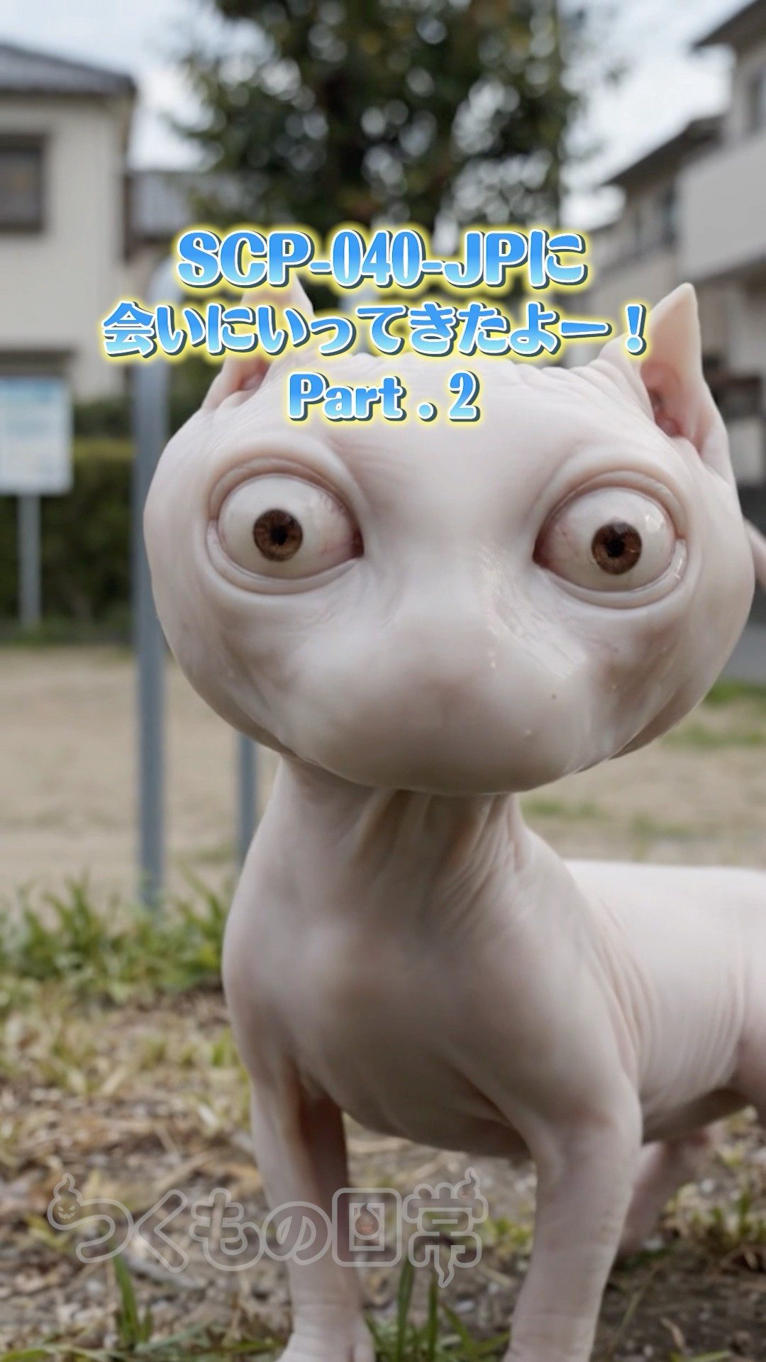 This is a cat, please take care of it [SCP-040-JP] #shorts - YouTube