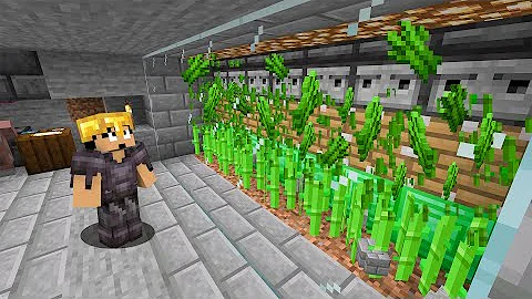 マイクラサトウキビ自動