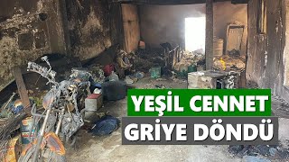 Yangindan Geri̇ye Kalanlar Yürek Yakti