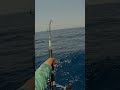 كان بيطيحني Giant Trevally الصيد البحري كان بيطيحني Giant Trevally الصيد البحري