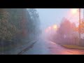 [環境音/ASMR]雨の降る音、生活音、森の音3時間/自然音#雨音 #環境音 #雨ASMR