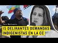 Tere Marinovic: 15 Delirantes demandas indigenistas en la CC