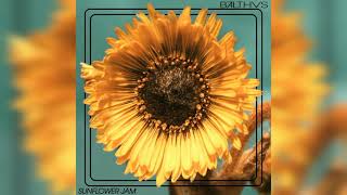 PDF Sample Sunflower Jam Visualizer guitar tab & chords by BALTHVS.