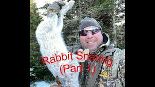 Rabbit Snaring Part 1