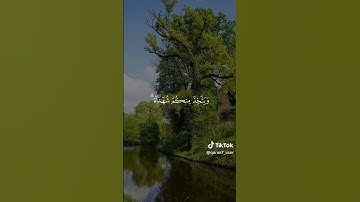 استمع القرآن الكريم واكتب يارب #comedianmahmoudagamey #محمودعجمي #قران_كريم #قرآن #جمعة_مباركة