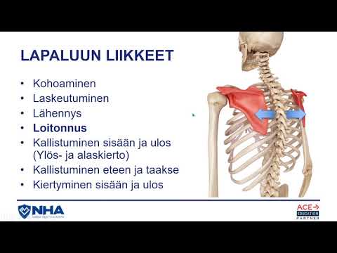 Lapaluun liikkeet | Ari Pekka Lindberg, Nordic Health Academy