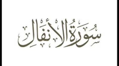 8   سورة الانفال   القرآن الكريم الشيخ فارس عباد