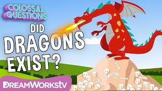 Did DRAGONS Ever Exist | COLOSSAL QUESTIONS