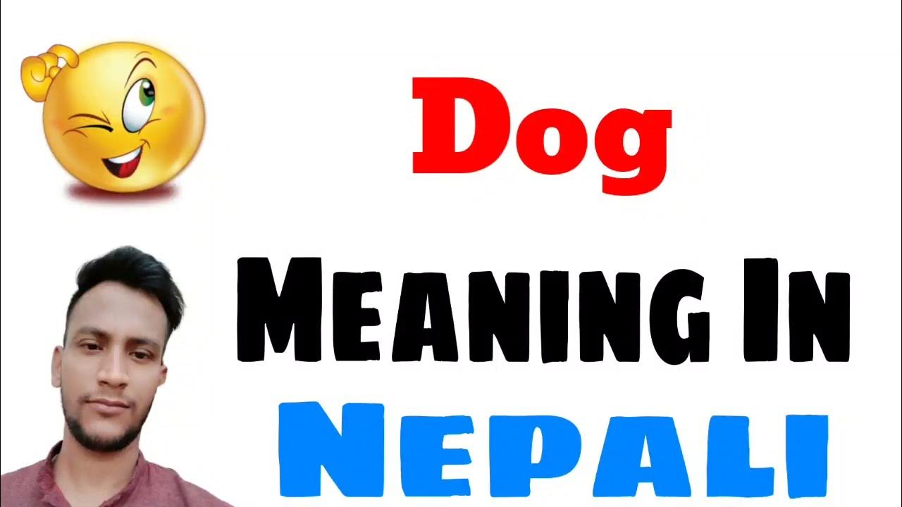 essay of dog in nepali