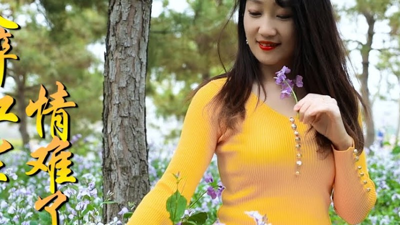 2020最新情歌《久醉红尘情难了》，唱尽人间最美的情，好听醉人！