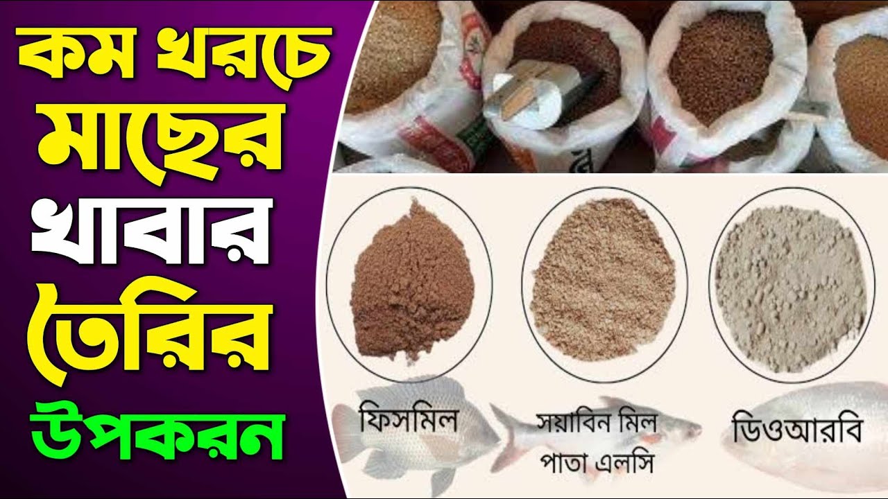 কম খরচে মাছের খাবার তৈরির উপকরণ, ১০০ কেজি হাতে বানানো মাছের খাবারের তালিকা, ৩৭% প্রোটিন যুক্ত খাবার