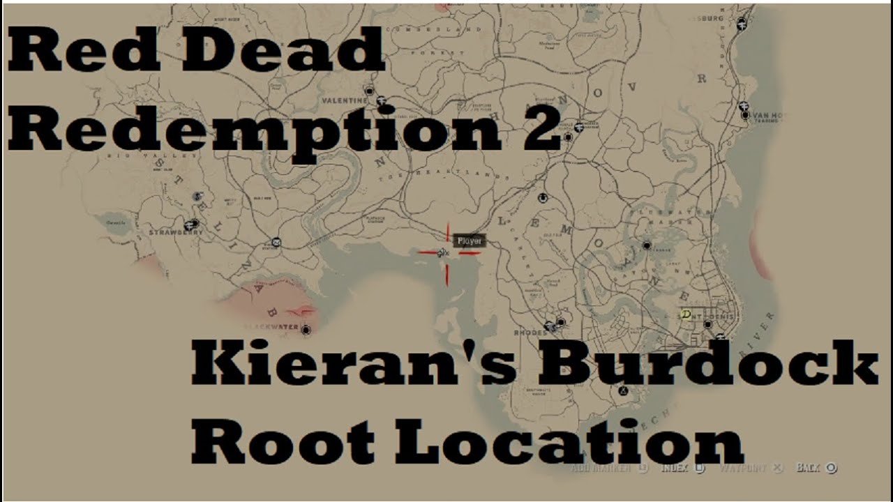 Annoncør Oceanien Læsbarhed Red Dead Redemption 2 - Kieran's Burdock Root Location - YouTube