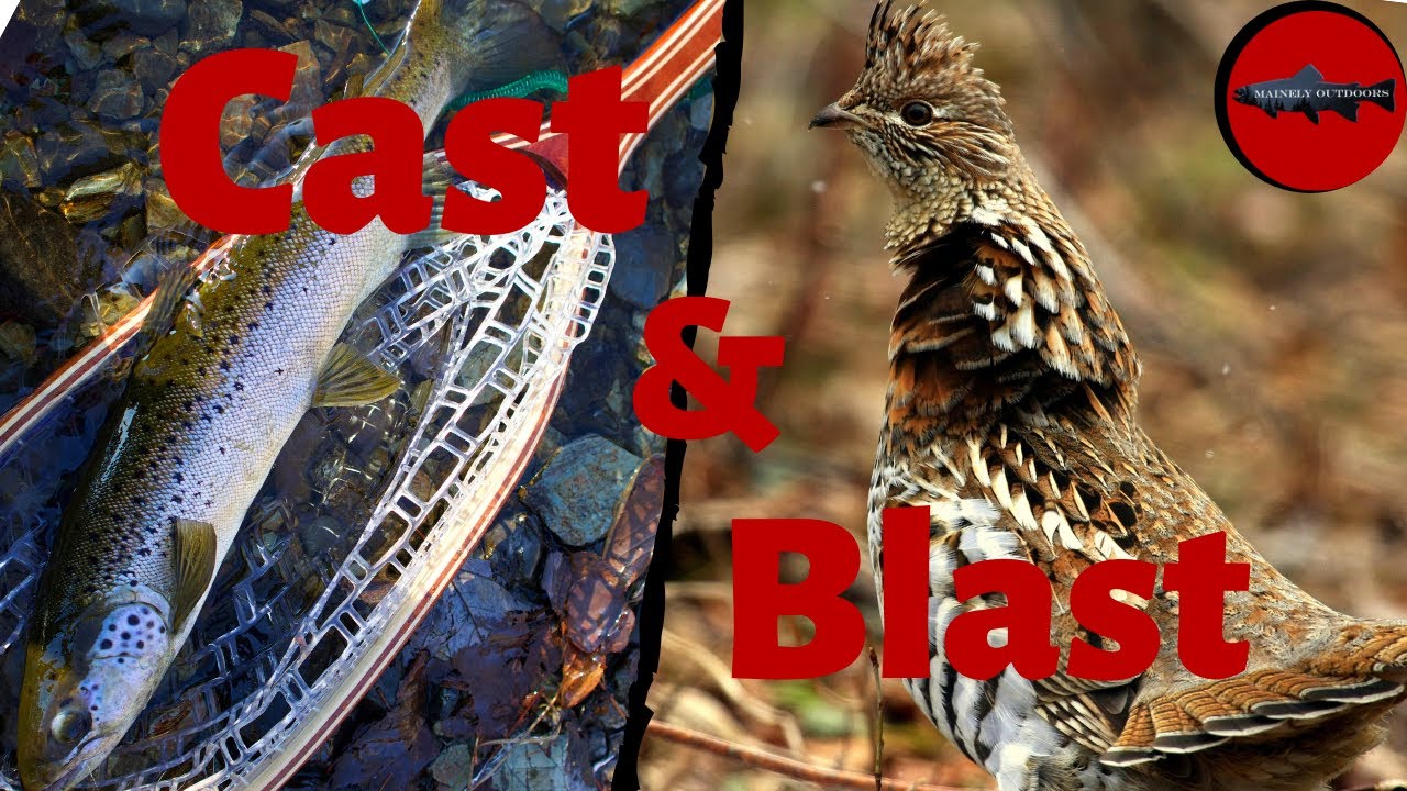 Hunting and Fishing the North Maine Woods for Ruffed Grouse and Brook Trout!! | (CAST and BLAST)