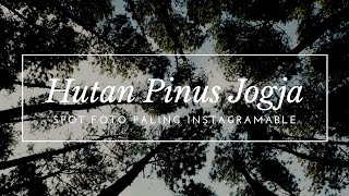 Hutan Pinus Mangunan Jogja - Cinematic Travel Video