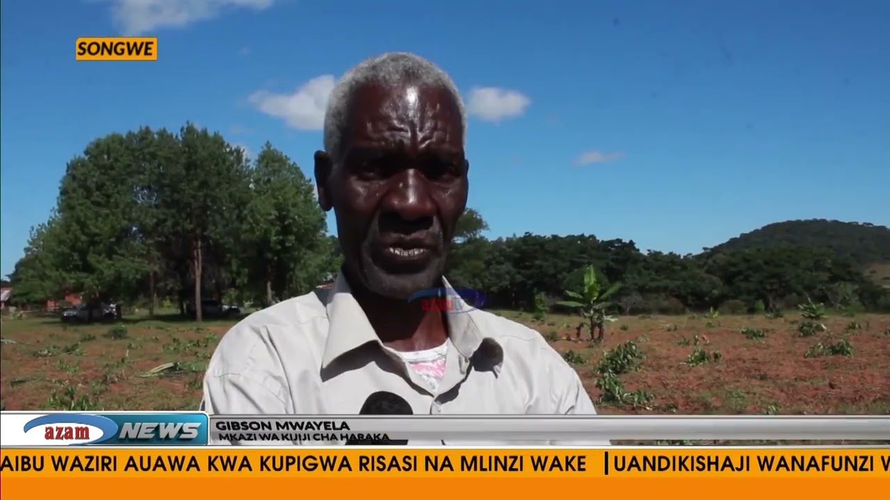 Shamba la migomba, kahawa na parachichi laharibiwa Songwe