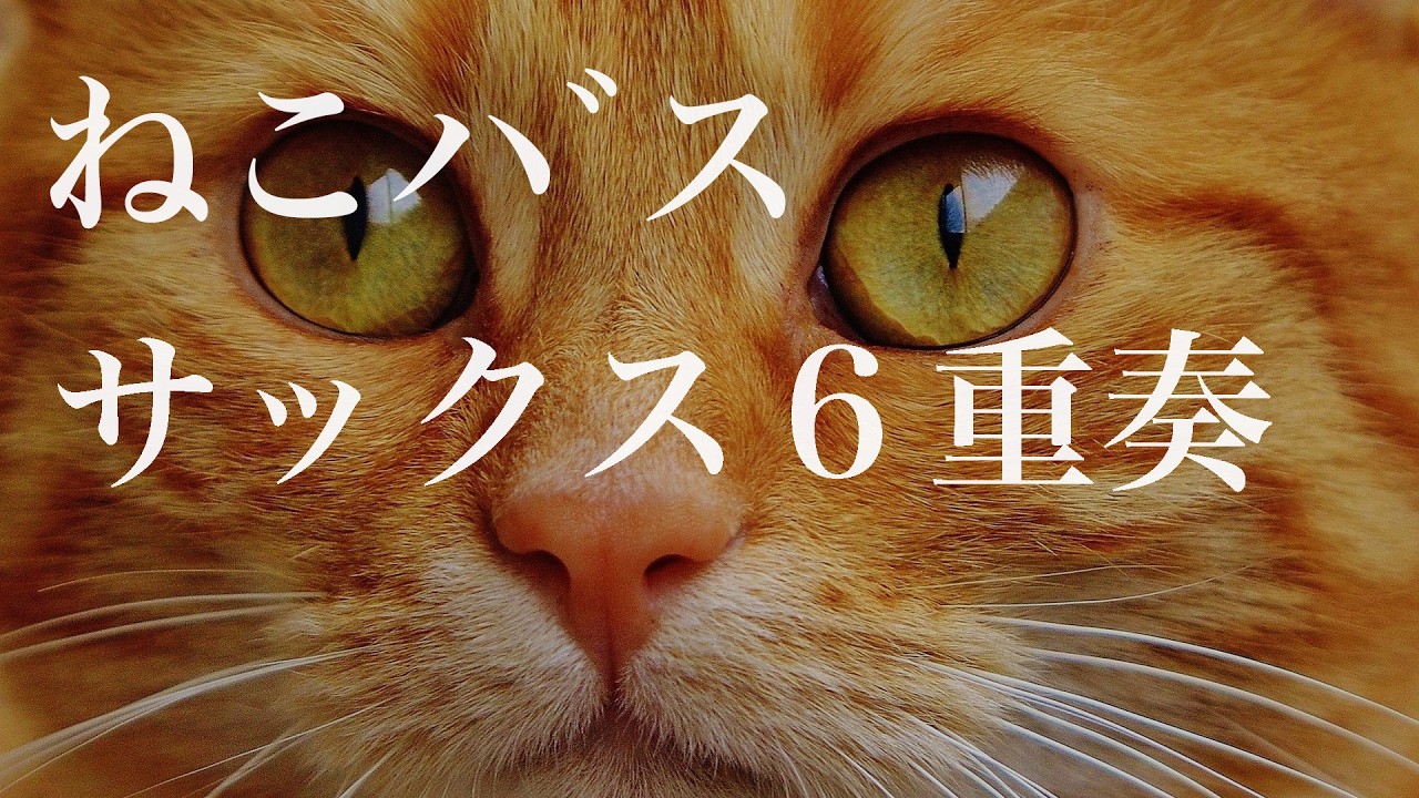 猫バス 愛・地球博記念公園で「ネコバス」をイメージした車両を2023年度内に