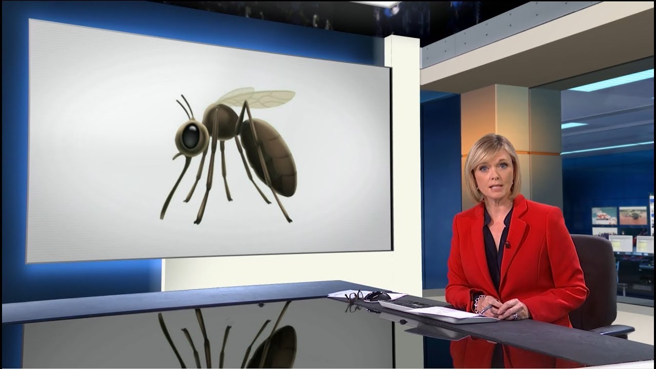 Mosquito emoji with a serious message (Global) - BBC News - 3rd October 2018