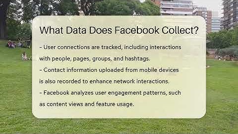 What Data Does Facebook Collect? - Everyday-Networking