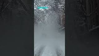 Snow Blizzard Causes A tree To Fall On A Car