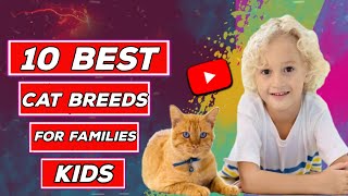 10 Best Cat Breeds You Can Buy it For Your Kids and You Will Not Regret it| best cat breeds