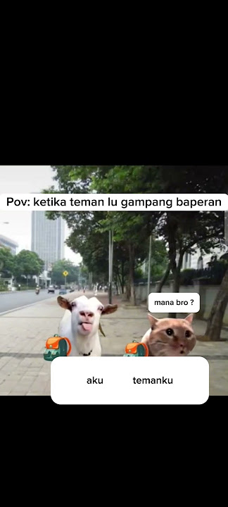 Bacot doangg🤭 #kucinglucu #meme #viral #fyp #animasi