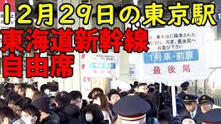 頭狂駅・倒壊道震撼戦 不自由席の列 【1812帰省2】東京駅 12/29-01