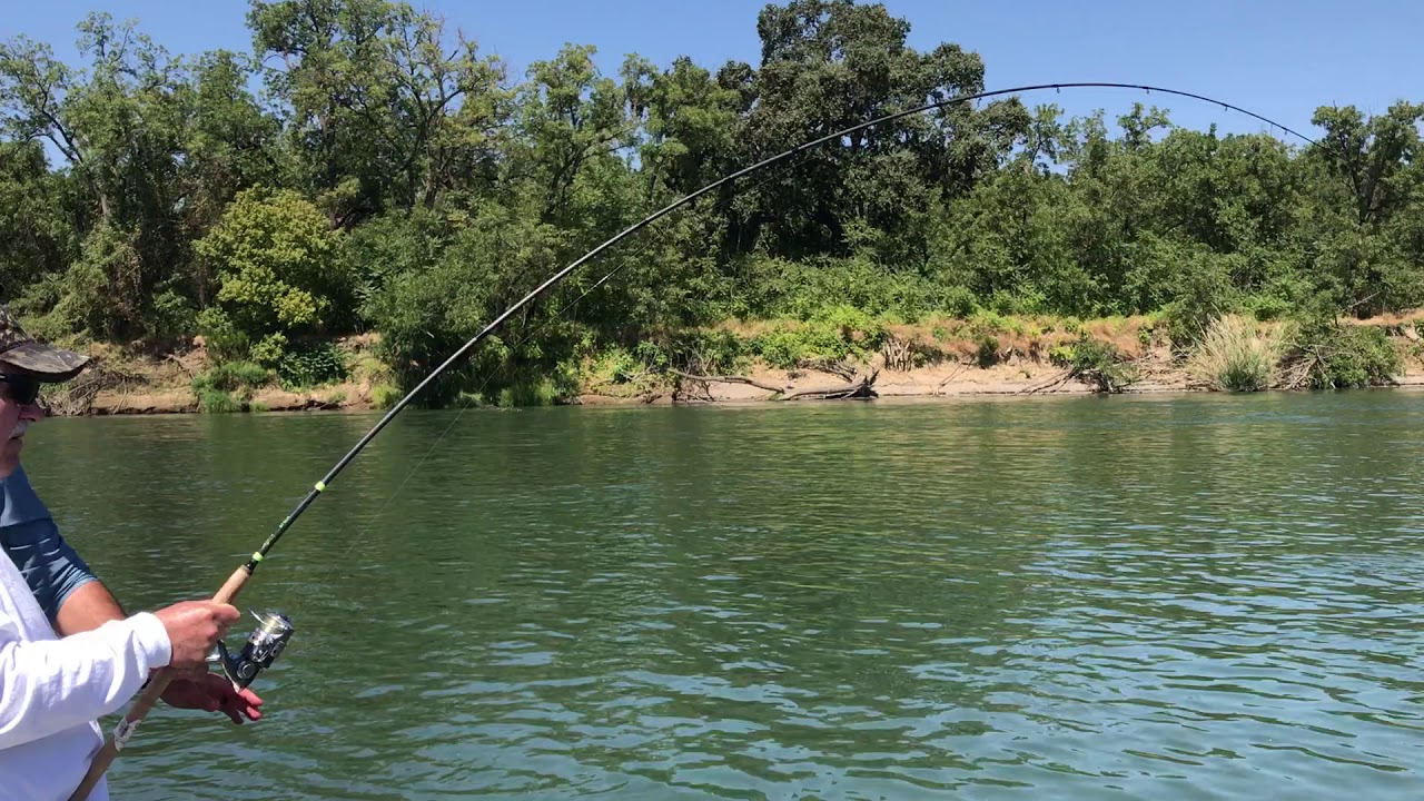 Sacramento River King salmon fishing below Woodson Bridge in Corning