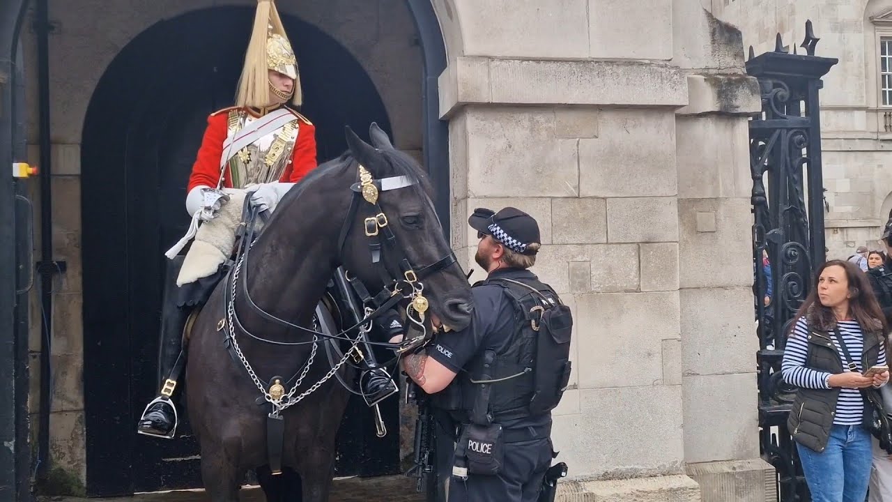kings guard shouts at tourist holding the rein. is that me 😆 🤣 😂 #thekingsguard