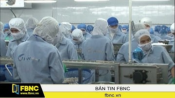 FBNC - Thủ tướng yêu cầu xuất khẩu tôm phải đạt 10 tỷ USD vào năm 2025
