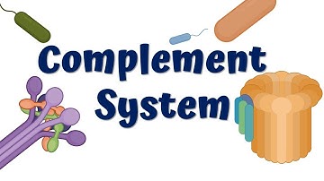 Complement System Animation