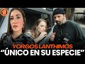 El director más extraño (y brillante) del cine actual | Todo sobre Lanthimos ft. Marina Parra