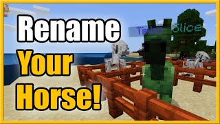 Top List 10+ Names For Minecraft Horses 2022: Top Full Guide