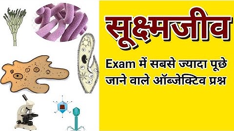 कक्षा 8 विज्ञान पाठ 3 सूक्ष्मजीव वस्तुनिष्ठ प्रश्न || Class 8 Science Chapter 3 Micro Organisms MCQ