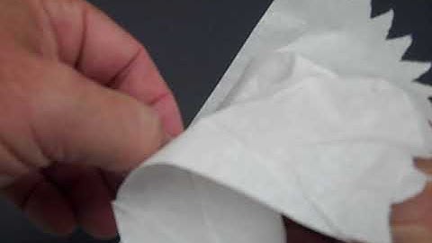 4.  Cleaning the Slide and Cover Slip