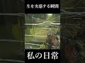死が急速に迫ってくる瞬間が、一番生を実感する！　 #short