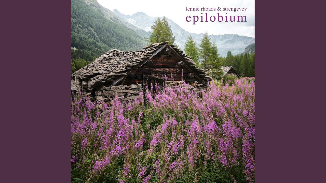 Watch Epilobium on YouTube Watch Epilobium on YouTube