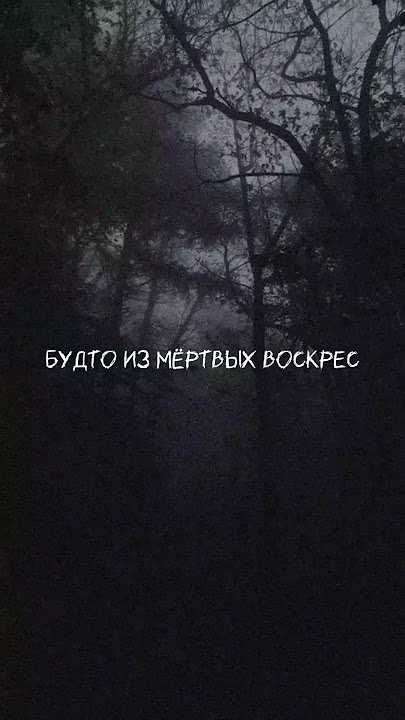 ДОБРЫЙ КАК ВЕЧЕР - К ТЕБЕ (lyric video) minorcuts prod.