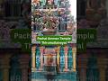 Pachai Amman Temple in Thirumullaivoyal #templevlogs #pachaiamman #amman #ammantemple #shorts