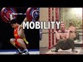 MOBILITY: What works?