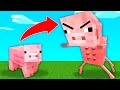 ESTO EXISTE EN MINECRAFT! 🤣😂