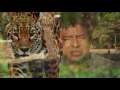 Jaguars: A Nexus for Biocultural Renewal