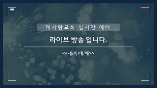[ 실시간 방송] 예사랑교회 새벽에배 - 시편 118편 (2025. 01. 03)