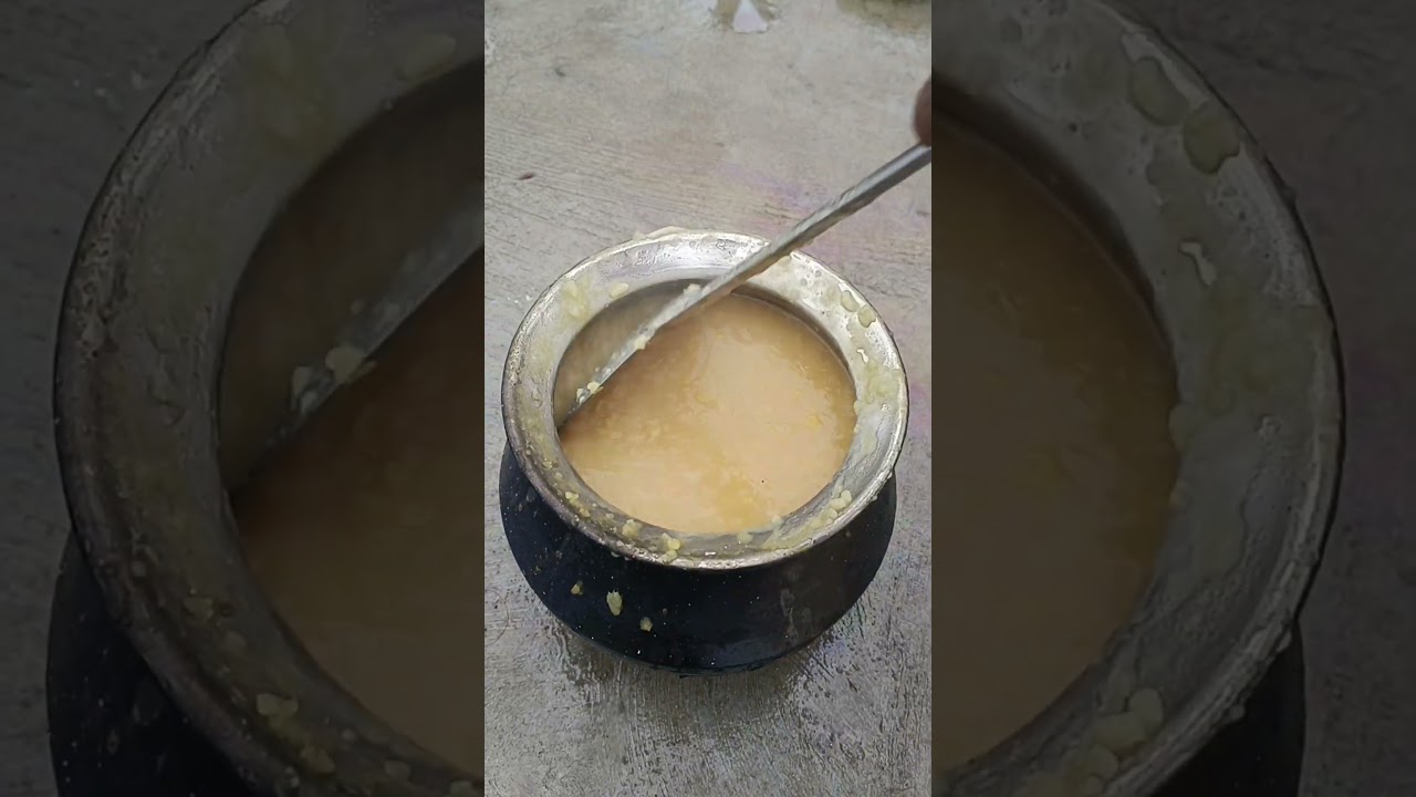 Thai Pongal Vlog 🎋✨ 