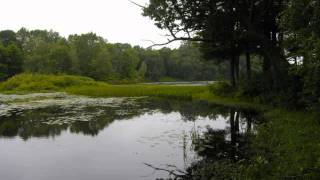 Bill Morrissey - Small Town On The River chords