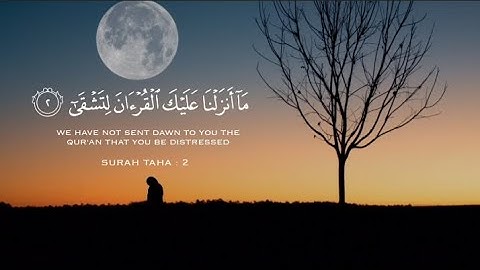 راحة لقلبك😴سورة طه// تلاوة خاشعة مؤثرة 𝙌𝙪𝙧𝙖𝙣 اعتزل عن العالم قليلا وطمئن قلبك💙🎧