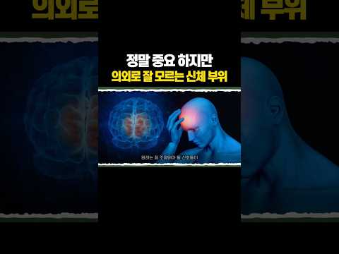 정말 중요 하지만 대부분 모르는 혈액 뇌 장벽 thumbnail