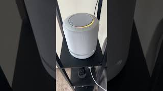 Welcoming Echo Studio To The All-White Party