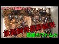 【カブクワ動画Part⑯】放置式飼育、掘り出します!!【国産カブトムシ】