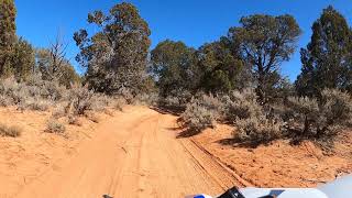 NEPHI PASTURE, Kanab Utah, LOOP SXS Adventure Rentals_short