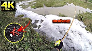 Pescaria Com Infra-Vermelho, Aglomeração De Peixe, Surreal